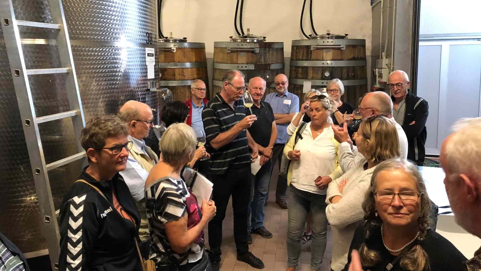 Visita del nostro importatore dalla Danimarca in cantina nel Friulano, degustazione vini.