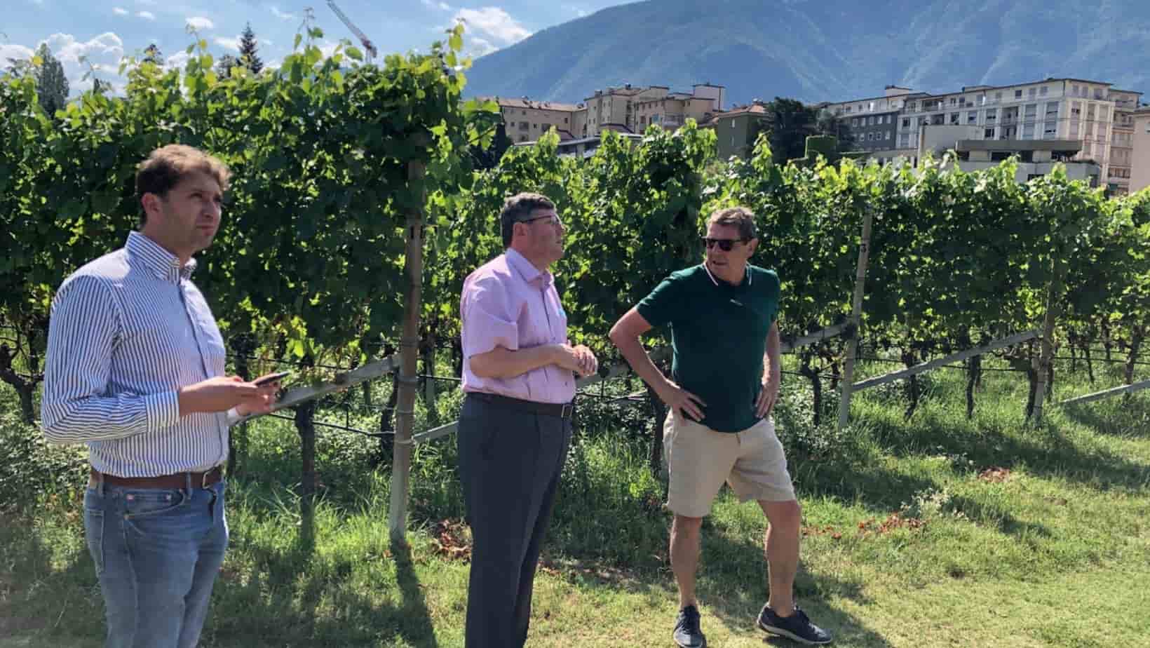 Our Belgian partner visited Muri Gries vineyards in July 2020.