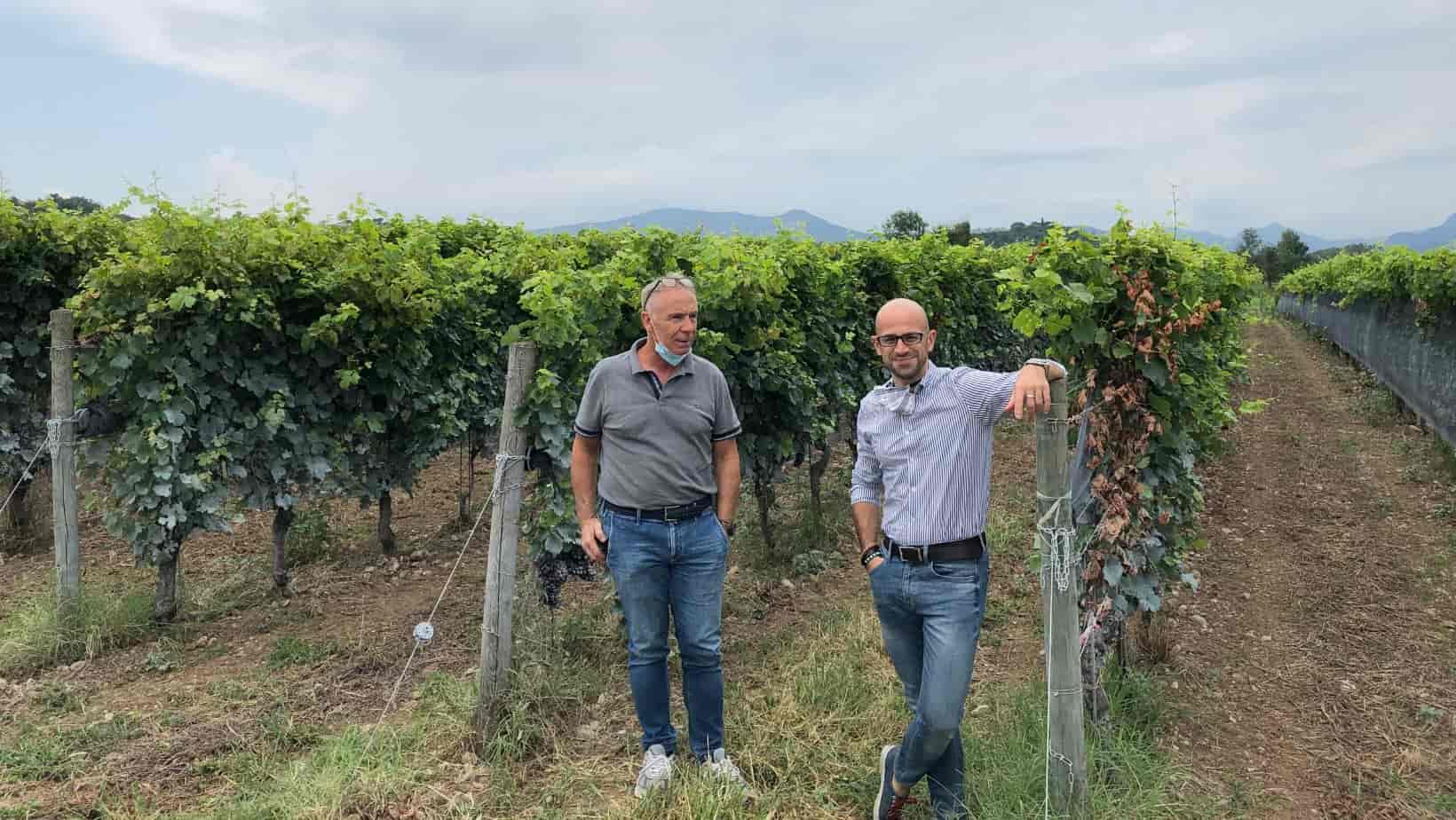 Our US importer visited Sincette winery in August 2020.